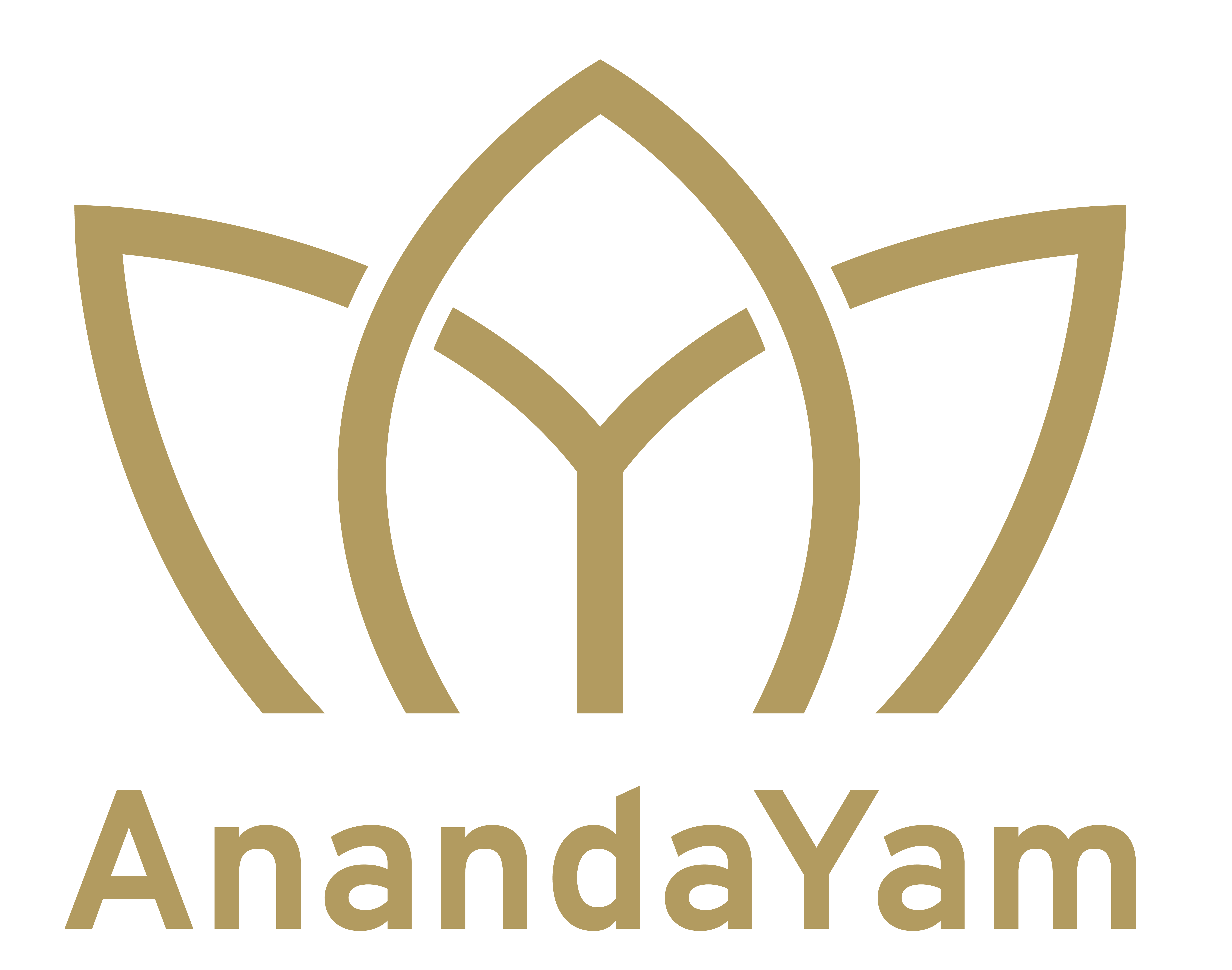 Yam Yoga Therapy